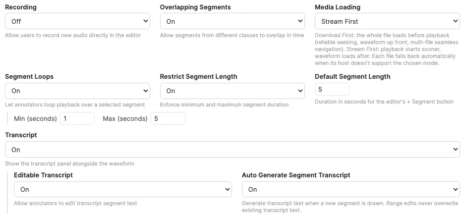 Audio specific feature controls section